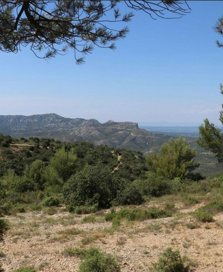 Allauch Village De Pagnol מראה חיצוני תמונה